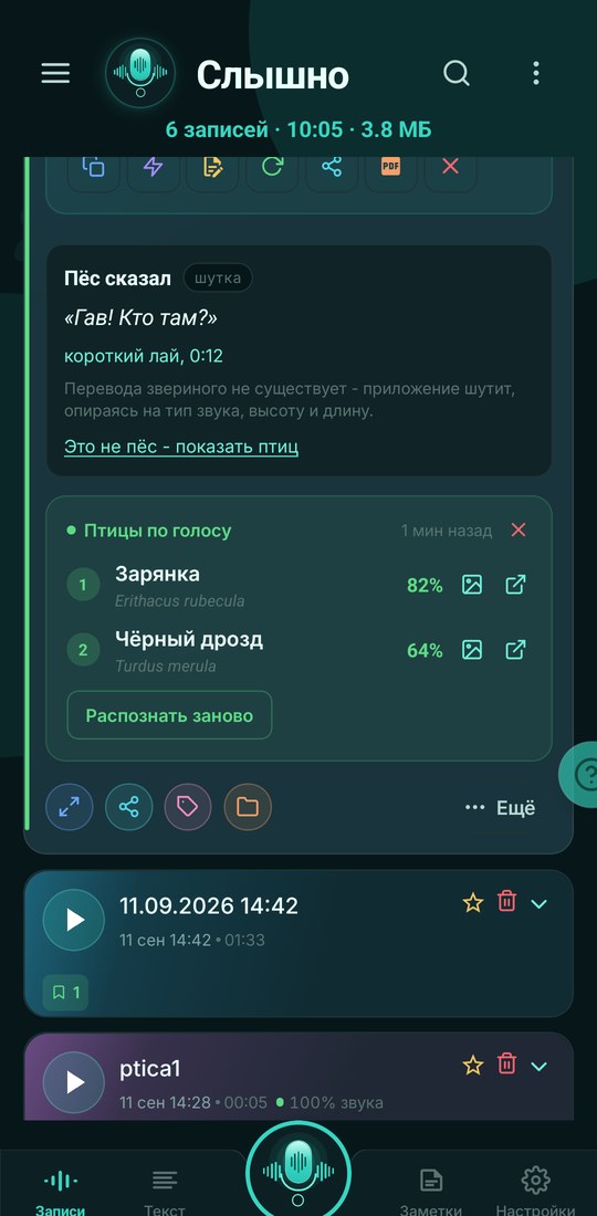 Определение птиц по голосу